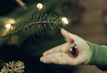 Hledáte kvalitní a levné umělé stromky? Vybírejte na svetstromku.cz